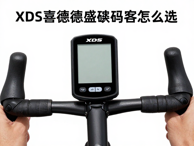 XDS喜德盛码表怎么选?健身减脂数据追踪全攻略