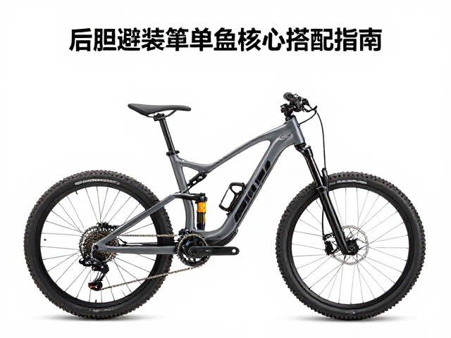 陡坡速降怎么选？后胆避震与单盘变速核心搭配指南