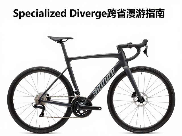 Specialized Diverge跨省漫游指南,弯把多手位骑行舒适度解析