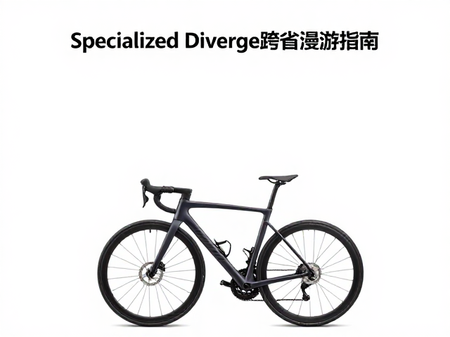 Specialized Diverge跨省漫游指南,弯把多手位骑行舒适度解析