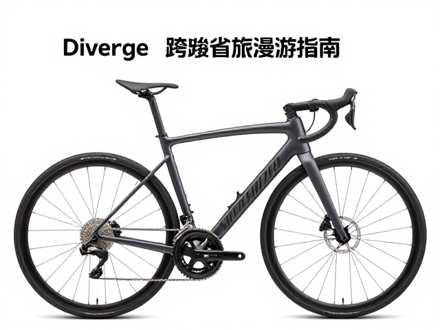 Specialized Diverge跨省漫游指南,弯把多手位骑行舒适度解析