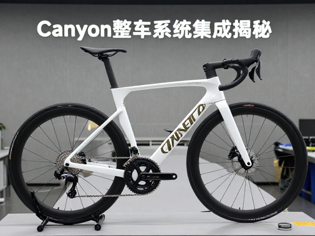 Canyon整车系统集成揭秘，全球高端自行车品牌的核心竞争力