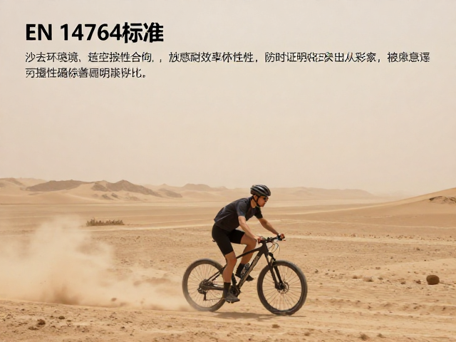 EN 14764标准下，沙尘环境自行车传动效率衰减与耐用性评估