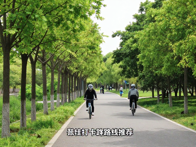 近郊公园自然风光打卡，共享单车骑行攻略与最佳路线推荐