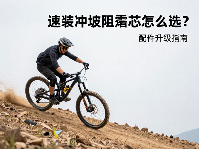 速降冲坡前叉阻尼芯怎么选？中端山地车配件升级指南