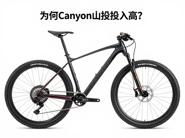 为何Canyon山地车研发投入高?深度解析技术优势