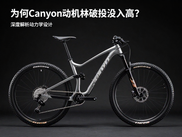 为何Canyon山地车研发投入高?深度解析技术优势