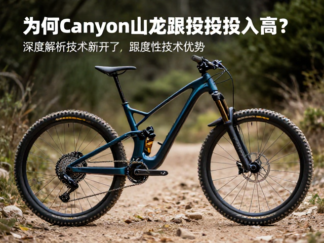 为何Canyon山地车研发投入高?深度解析技术优势