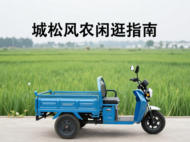 城郊风光闲逛指南,三轮休闲车链条润滑保养与骑行技巧