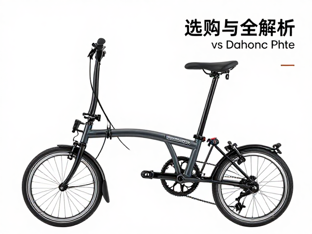 Brompton小布vsDahon折叠车,V刹系统性能与选购全解析