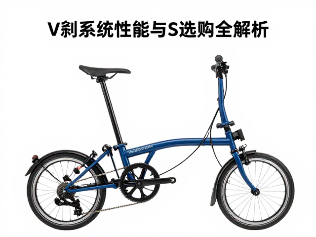 Brompton小布vsDahon折叠车,V刹系统性能与选购全解析