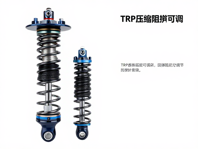 TRP压缩阻尼可调与回弹阻尼调节,专业调校指南