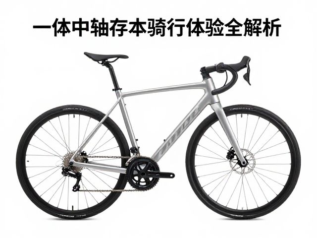 一体中轴自行车平踏优势,低维护成本与骑行体验全解析