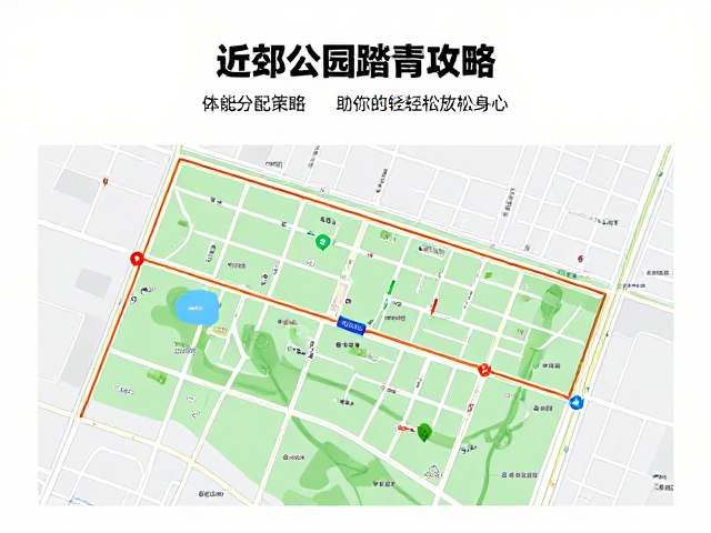 近郊公园踏青攻略，体能分配策略助你轻松放松身心