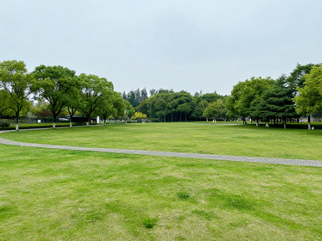 近郊公园踏青攻略，体能分配策略助你轻松放松身心