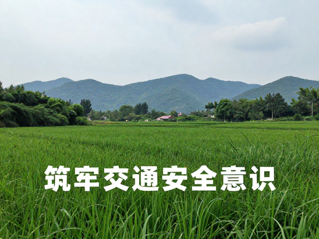自然风光认知，链条清洁润滑，筑牢交通安全意识