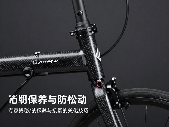 DAHON大行碳纤维车架关节防松动？专家揭秘保养与紧固技巧