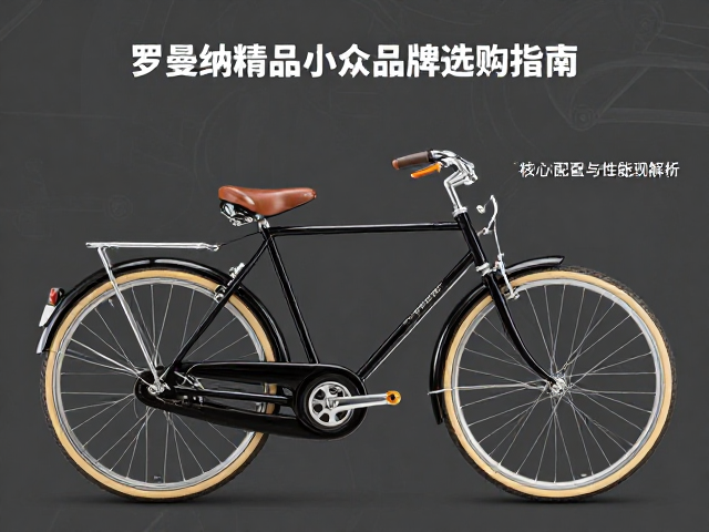 罗曼纳英伦复古自行车，万元级精品小众品牌选购指南