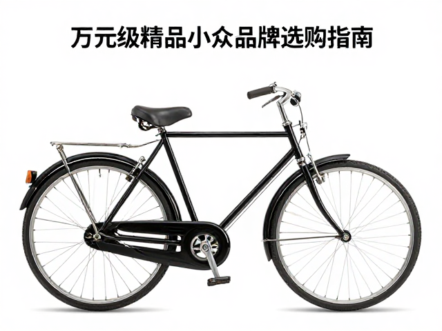 罗曼纳英伦复古自行车，万元级精品小众品牌选购指南