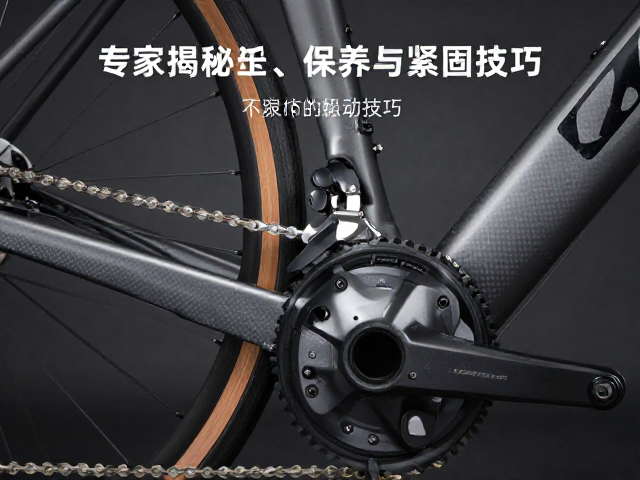 DAHON大行碳纤维车架关节防松动？专家揭秘保养与紧固技巧