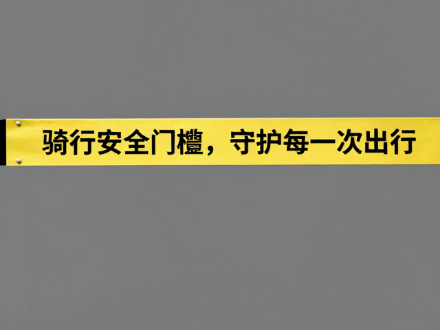 骑行安全门槛,转向限位与车架强度合格,守护每一次出行