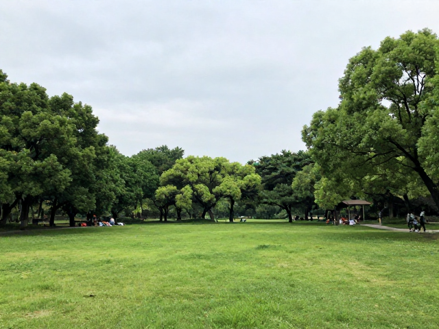 周末轻旅行，去视野开阔的短途闲逛地，治愈你的小周末