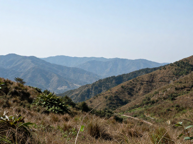 周末轻旅行，去视野开阔的短途闲逛地，治愈你的小周末