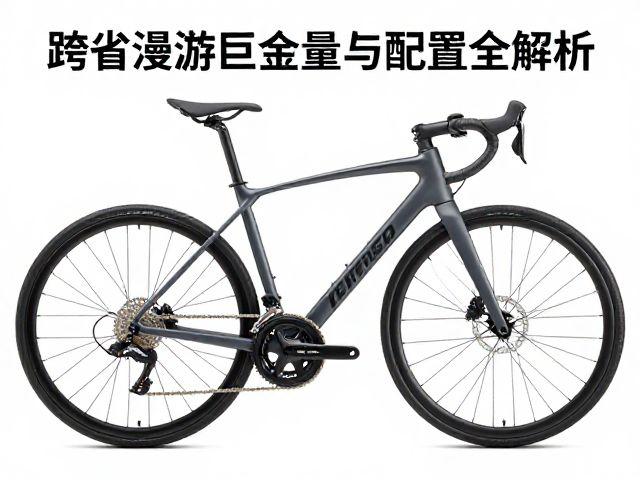 预算2万，选高端电子变速自行车？跨省漫游整车重量与配置全解析