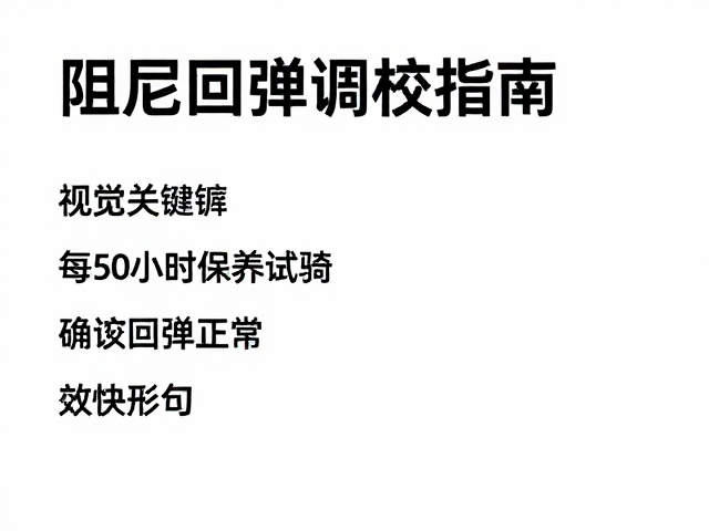 阻尼回弹调校指南，每50小时保养试骑，确认回弹正常