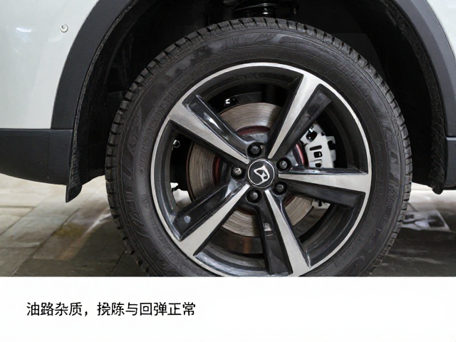 油路杂质清理与避震油更换，试骑确认回弹正常指南