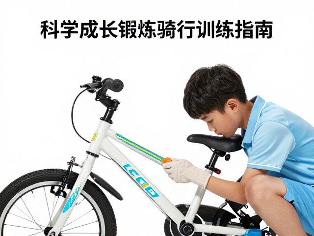 国产儿童自行车品牌推荐,科学成长锻炼与骑行训练指南