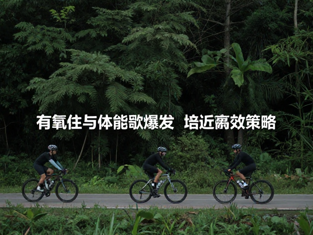 齿比与体能分配，自然风光打卡的骑行高效策略