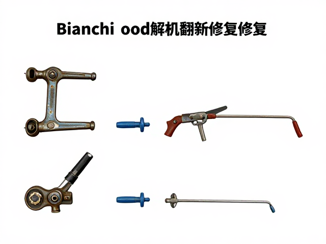 Bianchi老旧器械翻新修复,成本计入估值全解析