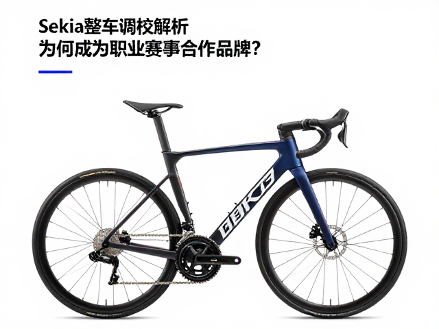 Sekia整车调校解析,为何成为职业赛事合作品牌?