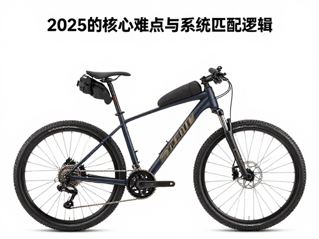 双人同骑长途骑游,双脚踏系统怎么选?2025热门车型推荐
