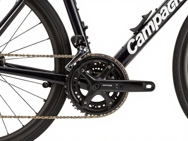 Campagnolo指拨旅行自行车改装指南,轻量与可靠并存