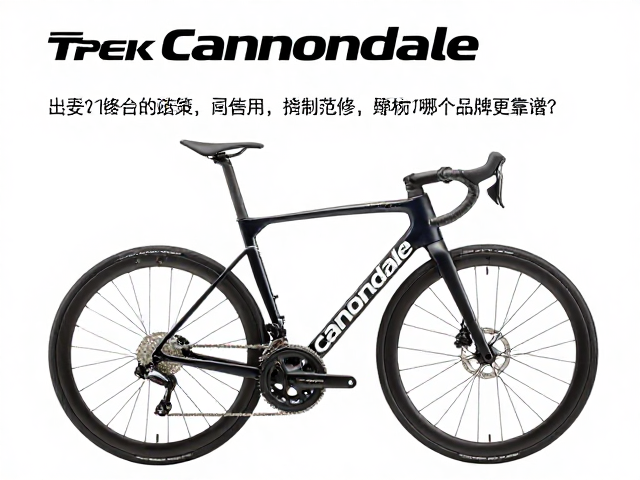 Trek和Cannondale车架终身保修政策解析，哪个品牌更靠谱？
