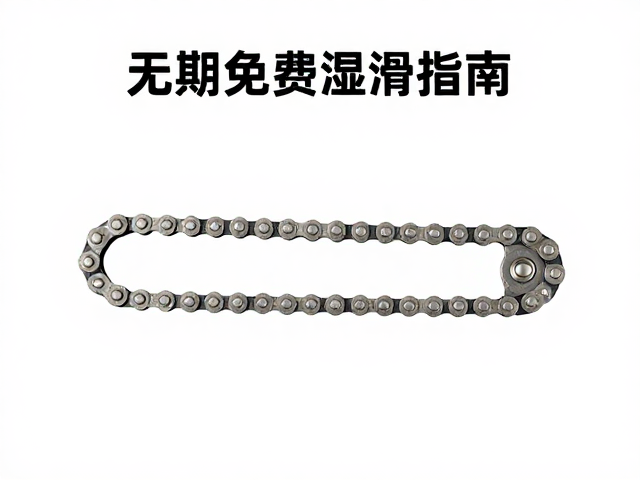 Bianchi复古砾石车链条定期润滑指南,保养秘籍与技巧分享
