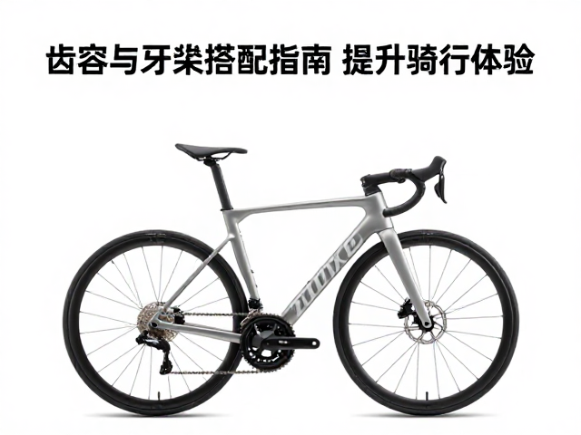 变速指拨怎么选？齿容与牙盘搭配指南，提升骑行体验