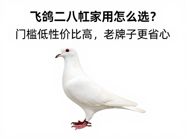 飞鸽二八大杠家用怎么选？门槛低性价比高，老牌子更省心