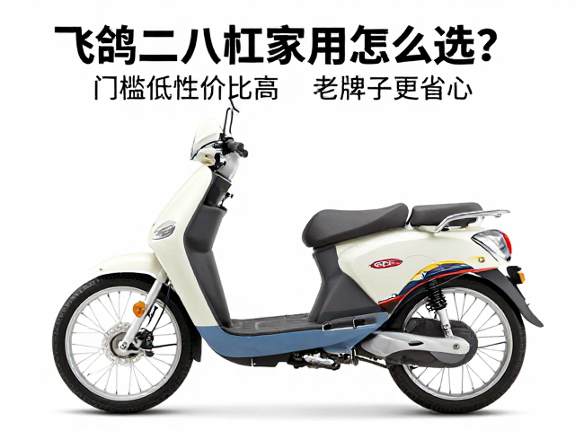 飞鸽二八大杠家用怎么选？门槛低性价比高，老牌子更省心