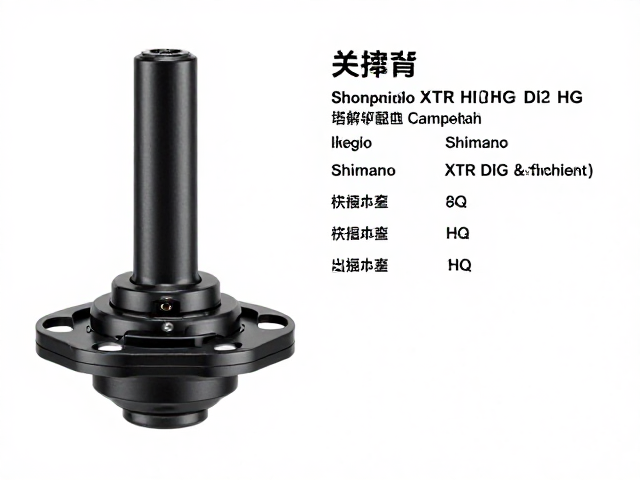 Campagnolo与Shimano XTR Di2 HG塔基兼容性解析