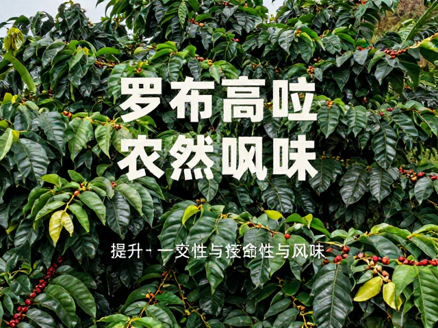 可持续种植与生态效益的协同