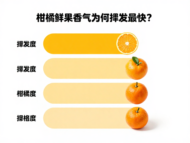 挥发层级与感官体验的动态演变