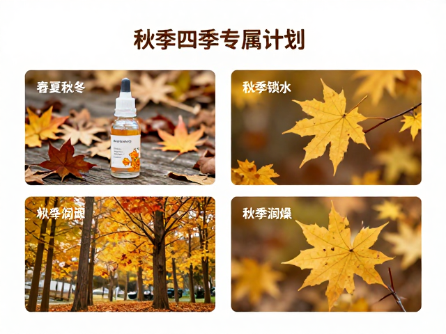 秋季润燥:应对干燥环境的深层锁水