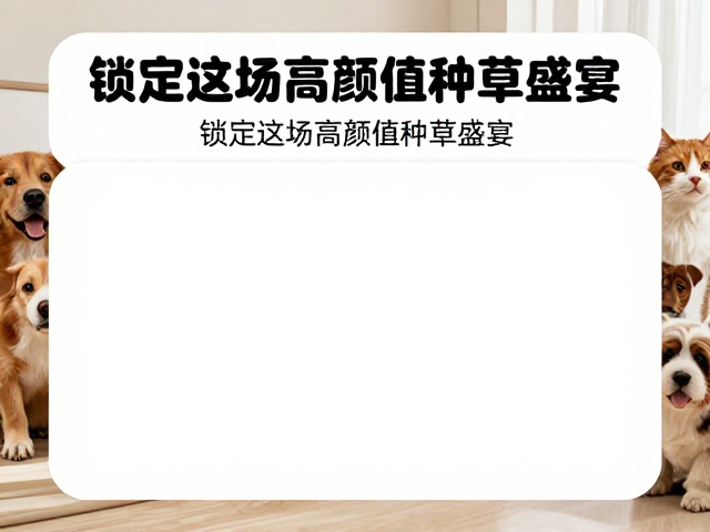 宠物区内容分享:科学养护与好物推荐