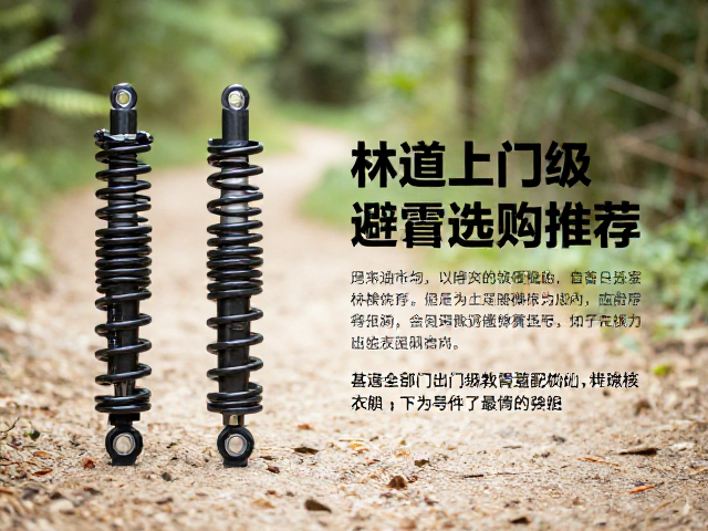 林道骑行入门级避震配件推荐,后胆弹簧选购指南