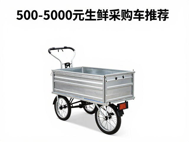 500-5000元生鲜采购车推荐,内变速花鼓车型,通勤买菜更省力