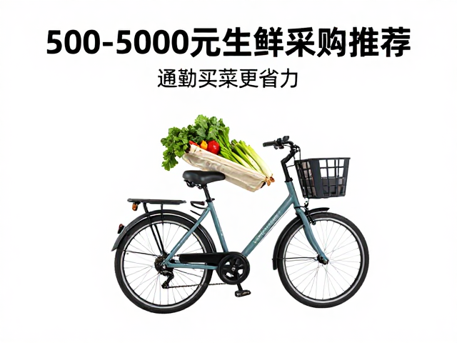 500-5000元生鲜采购车推荐,内变速花鼓车型,通勤买菜更省力
