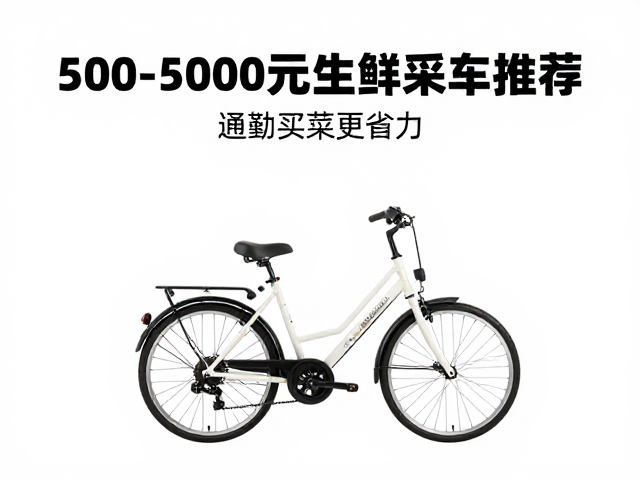 500-5000元生鲜采购车推荐,内变速花鼓车型,通勤买菜更省力